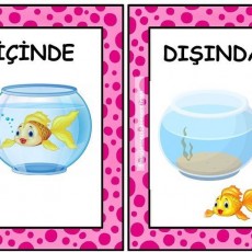 Dışında ve İçinde: Altın Balık ve Su Kabı Eğitici Kartları
