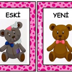 Yeni ve Eski Ayı Karşılaştırması - Eğitim Materyali