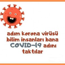 COVID-19 Korona Virüsü Eğitimi: Bilimsel Tanıtım ve Bilgiler