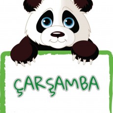 Panda İllüstrasyonu ve Çarşamba Yazısı