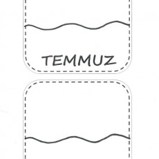 TEMMUZ Ayı İle İlgili Öğrenme Kartları - Aylar ve Yaz Üzerine