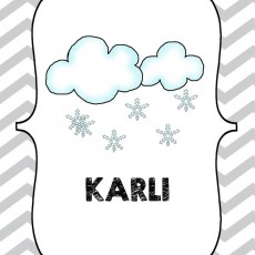 KARLI: Kış Hava Durumu ve Kar Öğrenimi