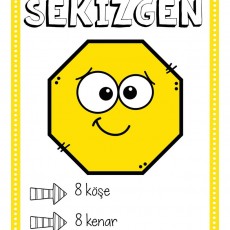 Sekizgen Eğitimi: 8 Köşe ve 8 Kenar