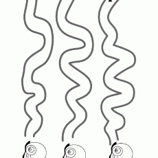 Snail Movement Patterns and Line Drawing Exercise