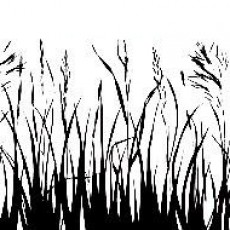 ilkbahar  (101).jpg