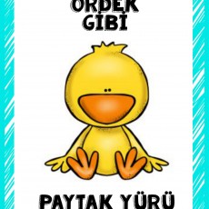 ÖRDEK GİBİ PAYTAK YÜRÜ - Eğitici Materyal