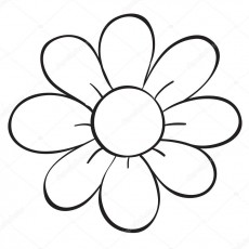 Çizim Formatında Papatya Çiçeği