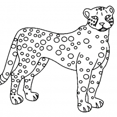 Yavru Leopar Çizim Şablonu - Hayvan Eğitimi