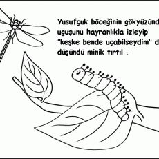 Yusufçuk Böceği ve Tırtıl: Doğa Gözlemi ve Hayvanlar Arası Etkileşim Konulu Eğitici Materyal - 3