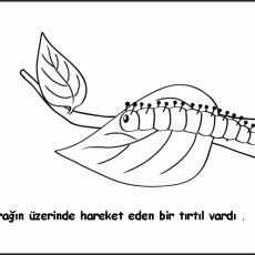 Yaprağın Üzerindeki Kertenkele: Doğa ve Çevre Eğitimi