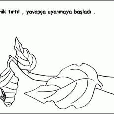 Doğa Eğitimi: Bitkilerin Uyanışı - 7