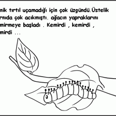Minik Tırtılın Ağaç Yapraklarını Kemirmesi Üzerine Eğitsel Görsel