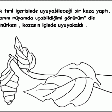 Altı Numaralı Eğitici Gizem: Uyku ve Doğa Teması