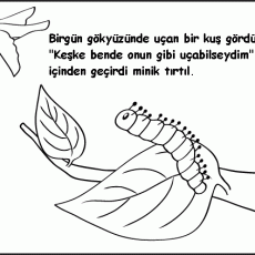 Kuş ve Tırtıl İlişkisi: Doğada Dönüşüm Temalı Eğitsel Materyal