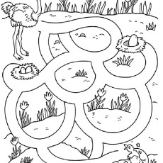 Ostrich Maze Activity with Eggs and Chick hatching