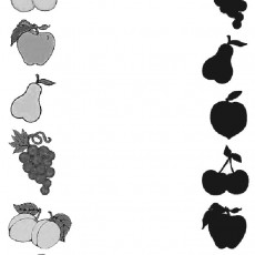 Meyvelerin Tanıtımı: Elma, Armut, Üzüm, Kiraz, Şeftali, Ve Ananas