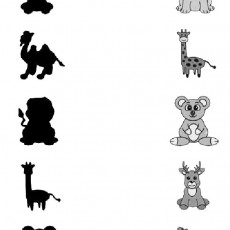 Hayvanları Tanıma Eğitimi: Aslan, Gergedan, Zürafa, Dinozor, Koala, Koyun, Deve, Geyik Silhouette Çalışması