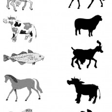 Hayvanların Silhouette ve Resimleri: 6 Hayvan (1 İnek, 1 At, 1 Koyun, 1 Kuzu, 1 Keçi ve 1 Balık)