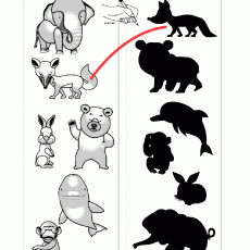 Hayvan Eşleştirme Etkinliği: 12 Hayvan (Elephant, Fox, Rabbit, Dolphin, Bear, Monkey)