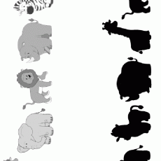 Hayvanlar ve Gölgeleri: Zebra, Fil, Aslan, Giraffe Eğitim Materyali
