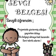 Sevgi Belgesi: Öğrenci Başarı Sertifikası - 1 Sevgili Öğrencim