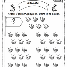 6 RAKAMI - Arı Gruplama Etkinliği