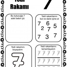 Yedi Sayısı Eğitimi: 7 Sayısı Üzerine Etkinlikler