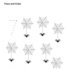 Eğitici Trace and Color Etkinliği: 7 Adet Örümcek Ağı