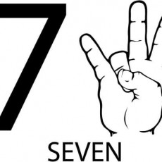 7_SEVEN_Eğitici_Materyal_El_İşareti