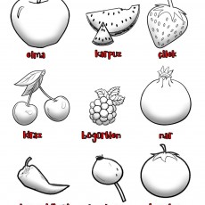 kırmızı-renkli-meyve-ve-sebzeler-boyama-sayfası-okul-öncesi-renkler-boyama.jpg