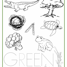 GREEN-Color-Activity-Sheet-790x1024