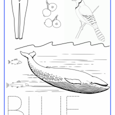 BLUE-Color-Activity-Sheet-790x1024
