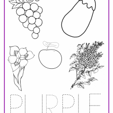 PURPLE-Color-Activity-Sheet-790x1024