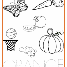 ORANGE-Color-Activity-Sheet-790x1024