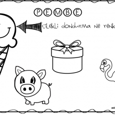 pembe (1)