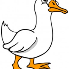 GÖRSEL2.jpg