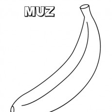 Muz Renkli Çizim ve Yazma Eğitimi