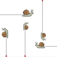 Yavaş Hareket: Salyangozların Yolu ile Geometrik Eğitimi (2 Salyangoz, 1 Yavaş Yürüyüşer, 4 Ok, Eğitsel Grafik)