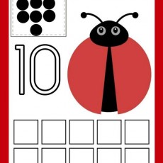 Onuncu Sayı - Ladybug Eğitimi