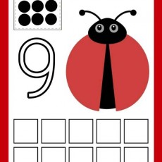 Ladybug Learning: Number 9 with Visual Counting