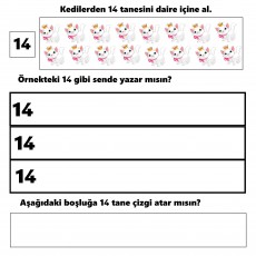 Eğitsel Materyal: Kediler ve Rakam 14 / Educational Material: Cats and Number 14