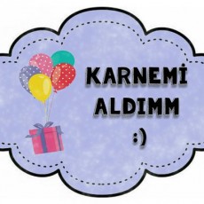 KARNEMİ ALDIMM - Karneler ve Kutlamalar için Eğlenceli Eğitsel Materyal