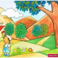 okul öncesinde geometrik,mevsim,renk, hava duygu grafikler  (134)