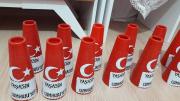 cumhuriyet haftası ve atatürk (6)