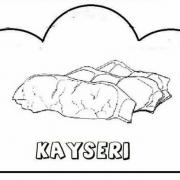 şehir şehir yetişen ürünler (12)
