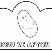 şehir şehir yetişen ürünler (6)