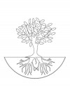 Ağaç Türleri (3)