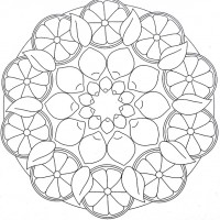 anasınıfı-limon-mandala-boyaam