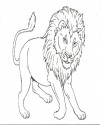 aslan