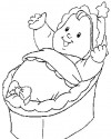 Bebek  (28)